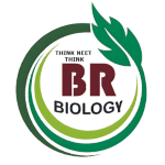Digital Marketing Agency For Educational Institute
