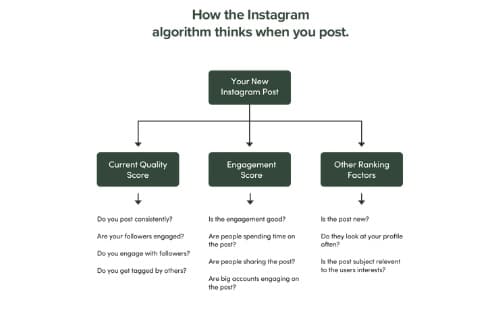 A flowchart explaining how Instagram ranks posts based on quality score, engagement, and other ranking factors
